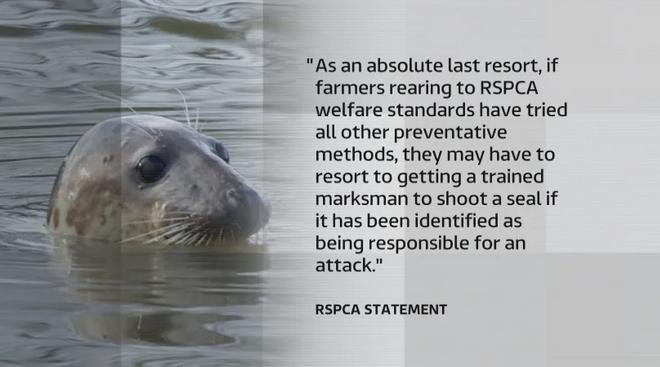 RSPCA seal page deleted 31 March 2021 #2