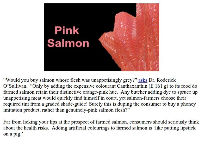 Ugly in Pink report #4