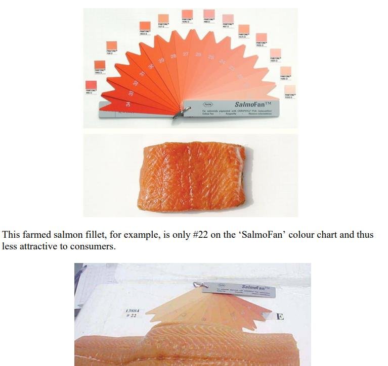 Ugly in Pink report #8