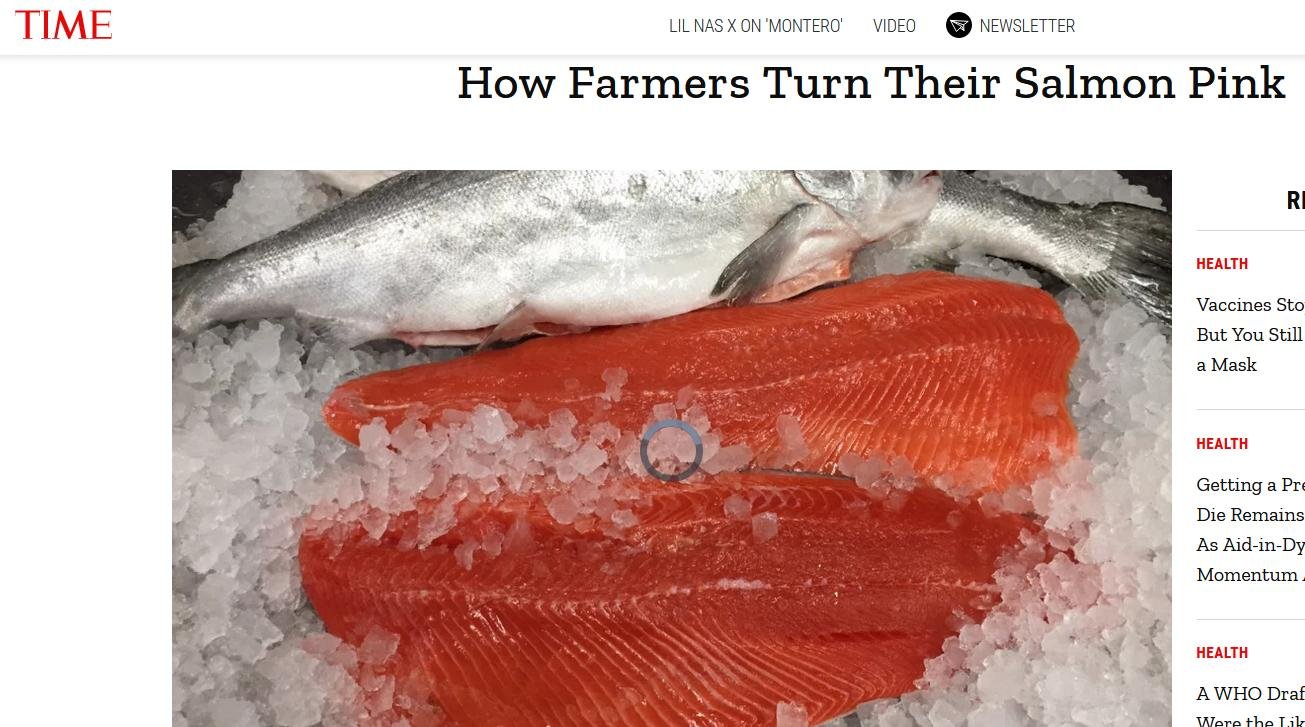 Canthaxanthin Time 2017