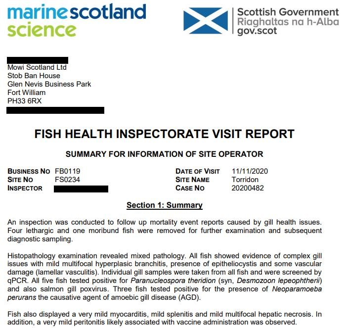 FHI Mowi Torridon Nov 2020 #5 FHI Mowi Torridon Nov 2020 #5