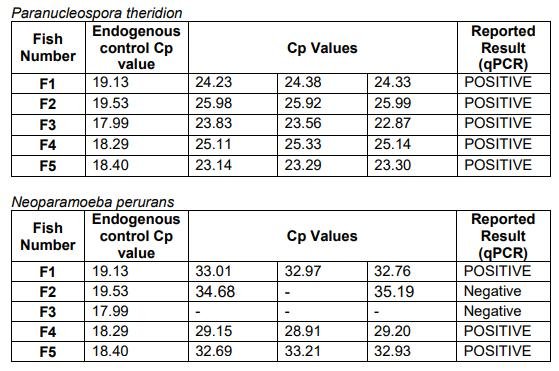FHI Mowi Torridon Nov 2020 #7 FHI Mowi Torridon Nov 2020 #7