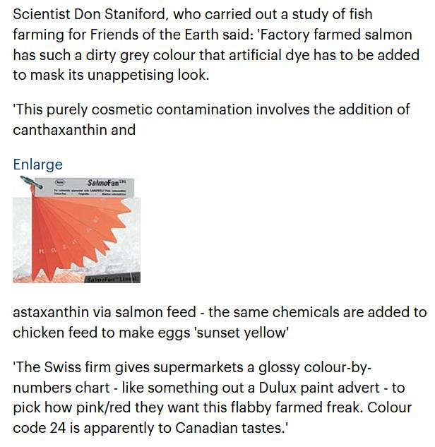 Extreme Activisit blog April 2021 #25 Extreme Activisit blog April 2021 #25