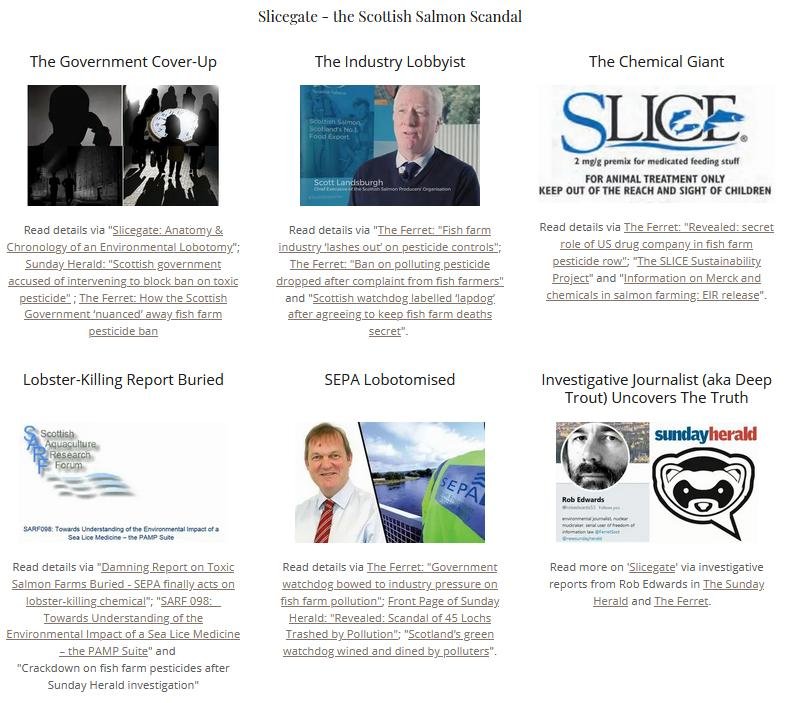 Extreme Activisit blog April 2021 #36 Extreme Activisit blog April 2021 #36