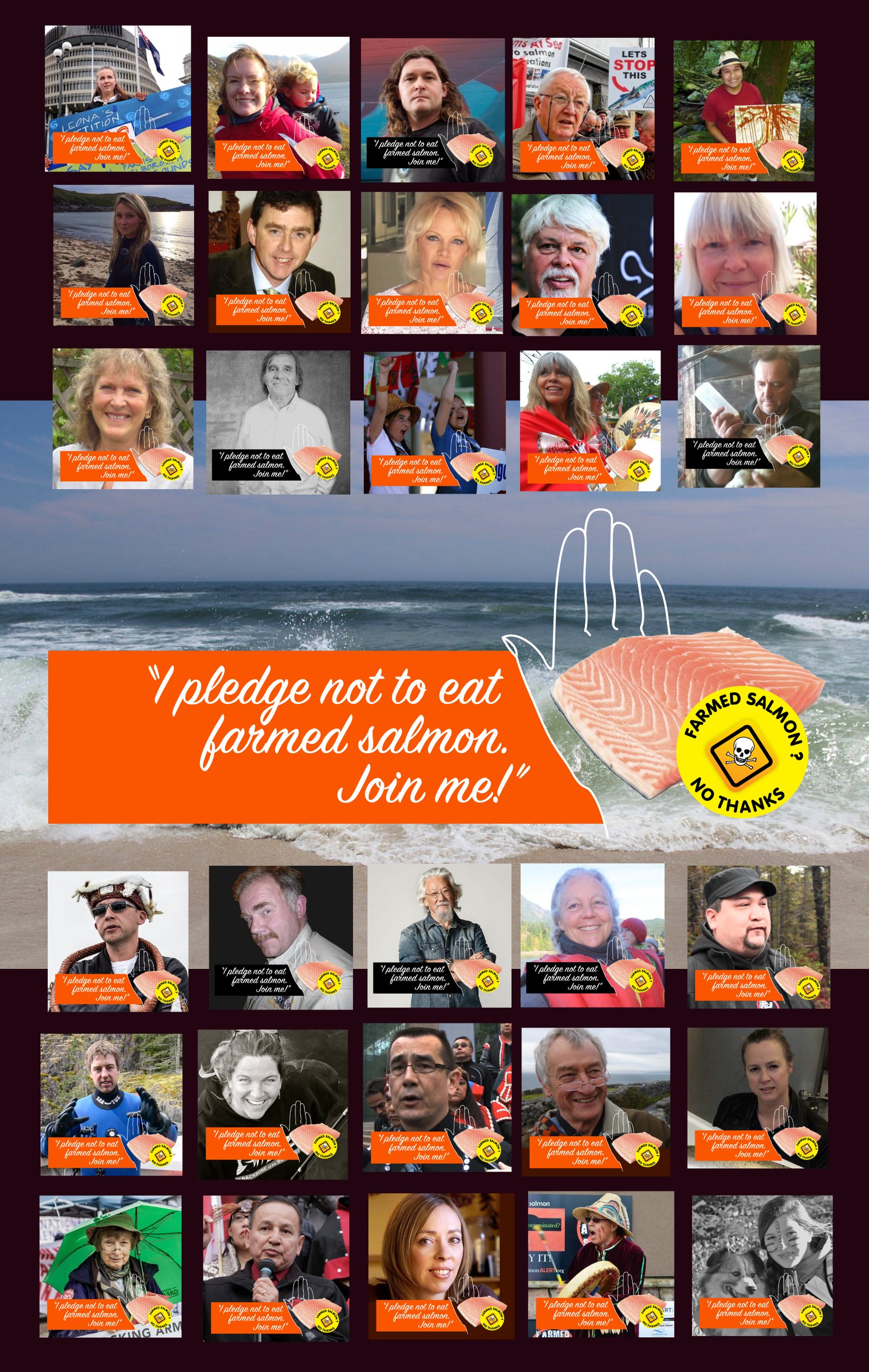 Collage of Take the Pledge ALL Collage of Take the Pledge ALL