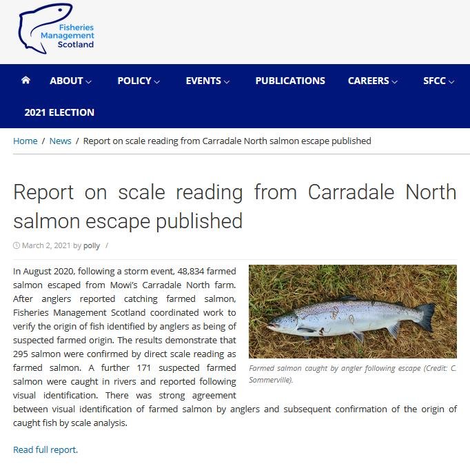 Euan McGrandle blog April 2021 #21 Euan McGrandle blog April 2021 #21