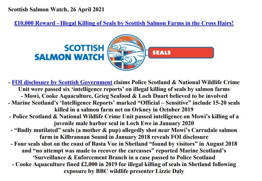 PR £10 000 Reward Illegal Killing of Seals by Scottish Salmon 26 April 2021 #1 PR £10 000 Reward Illegal Killing of Seals by Scottish Salmon 26 April 2021 #1