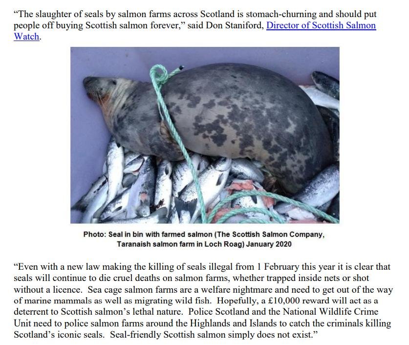 PR £10 000 Reward Illegal Killing of Seals by Scottish Salmon 26 April 2021 #5