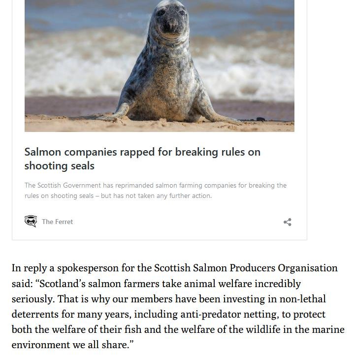 Ferret 26 April 2021 #8 Ferret 26 April 2021 #8