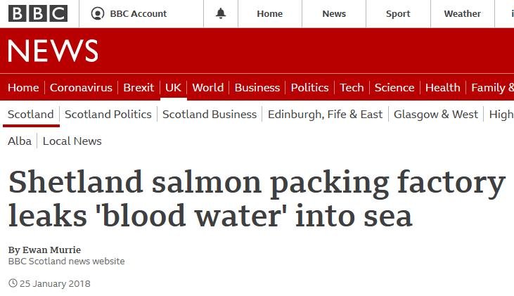 Belhaven blog 29 April 2021 #9