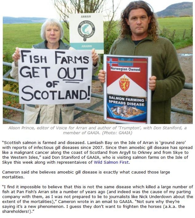 FIS Chlamydia #2 FIS Chlamydia #2