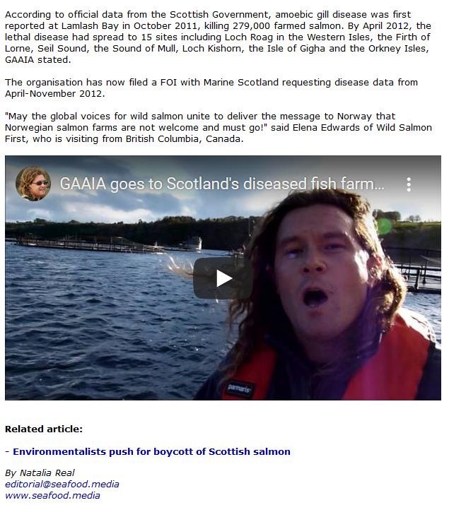 FIS Chlamydia #3 FIS Chlamydia #3