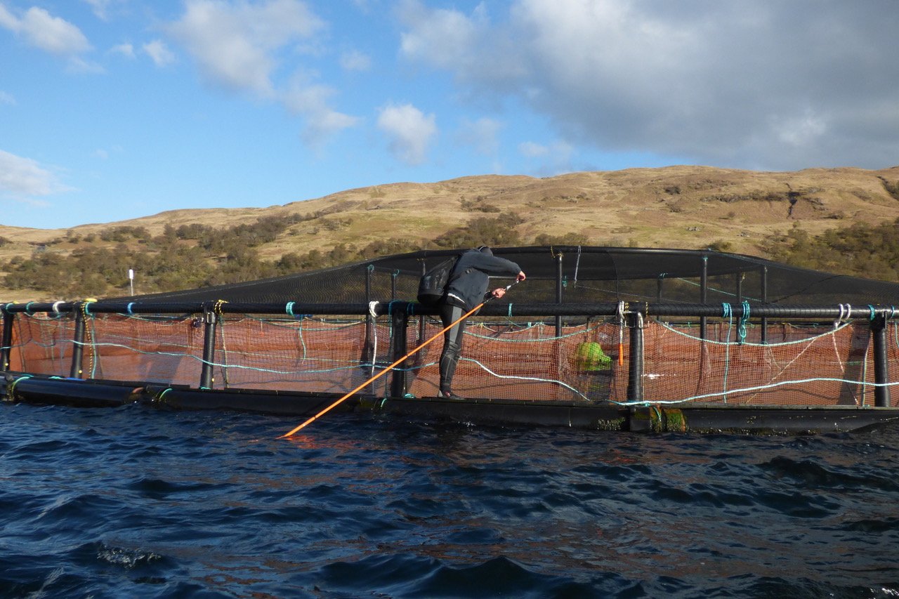 Don filming at Cage with longer pole Don filming at Cage with longer pole