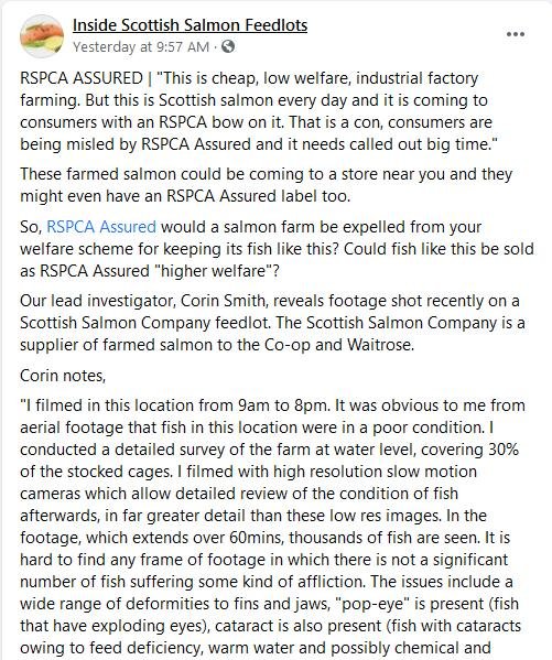 RSPCA Corin critique 13 May 2021 #1