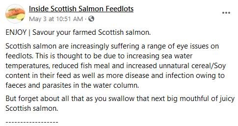 ISSF May 2021 eye problems #1