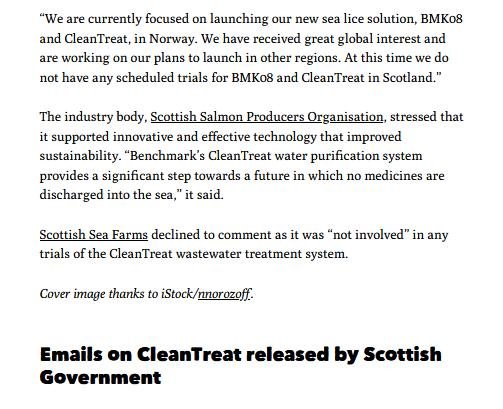 Ferret 21 May 2021 #9