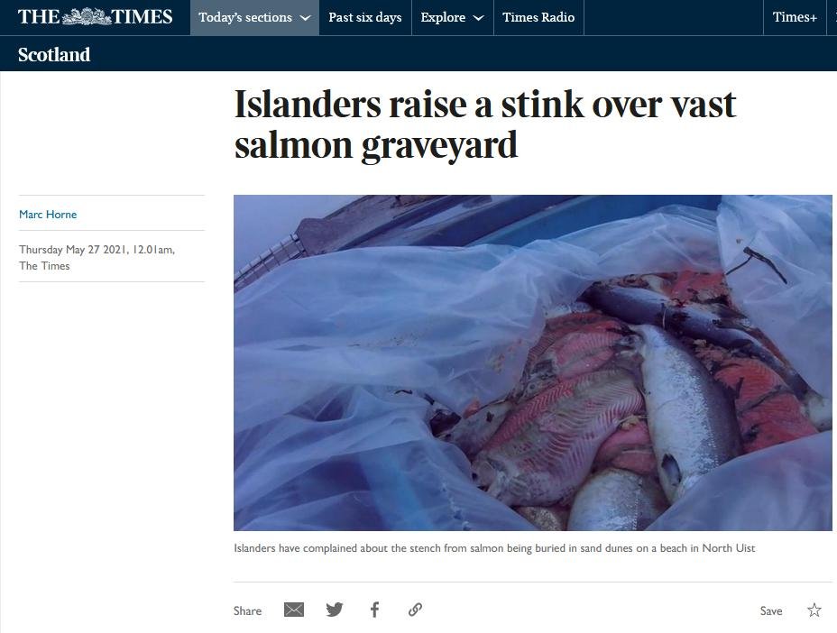 Times Whiteshore stink 27 May 2021 #1