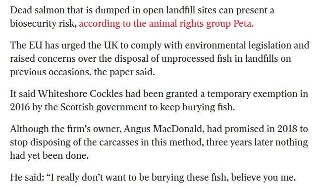 Independent 27 May 2021 #4