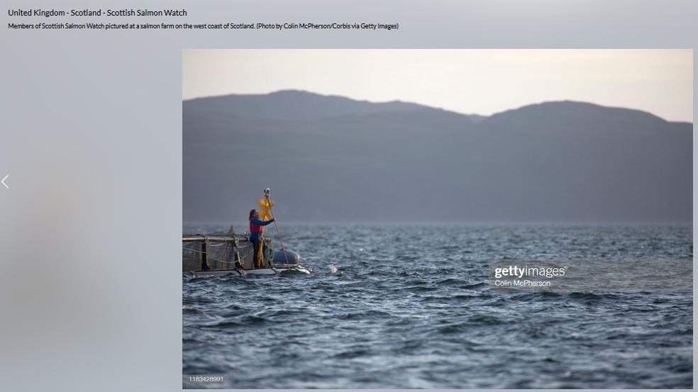 BBC blog #7 BBC blog #7