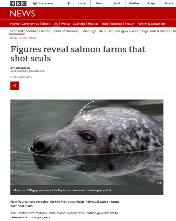 BBC blog #13 BBC blog #13