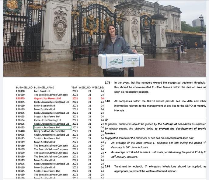 OSH royal blog June 2021 #3