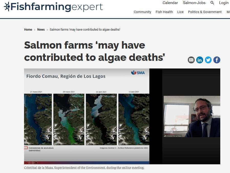 HAB blog June 2021 #4 HAB blog June 2021 #4