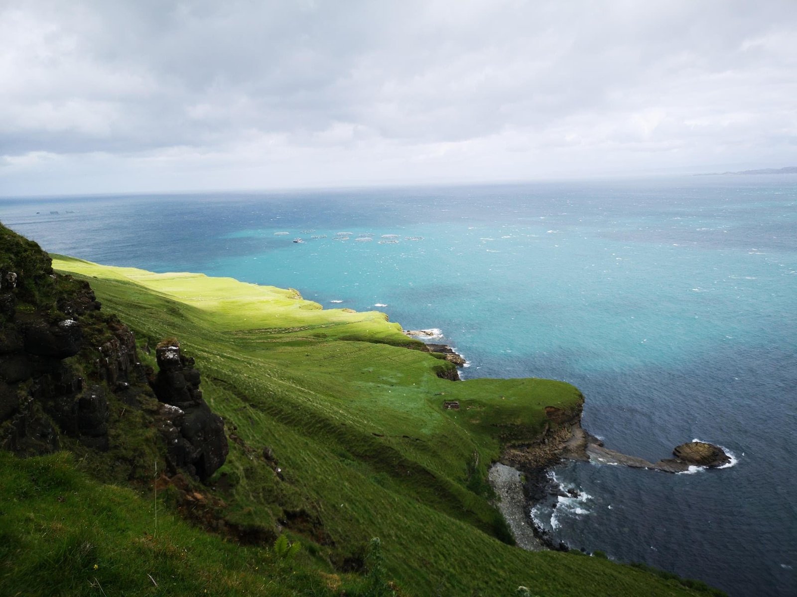 HAB blog June 2021 photo HAB blog June 2021 photo