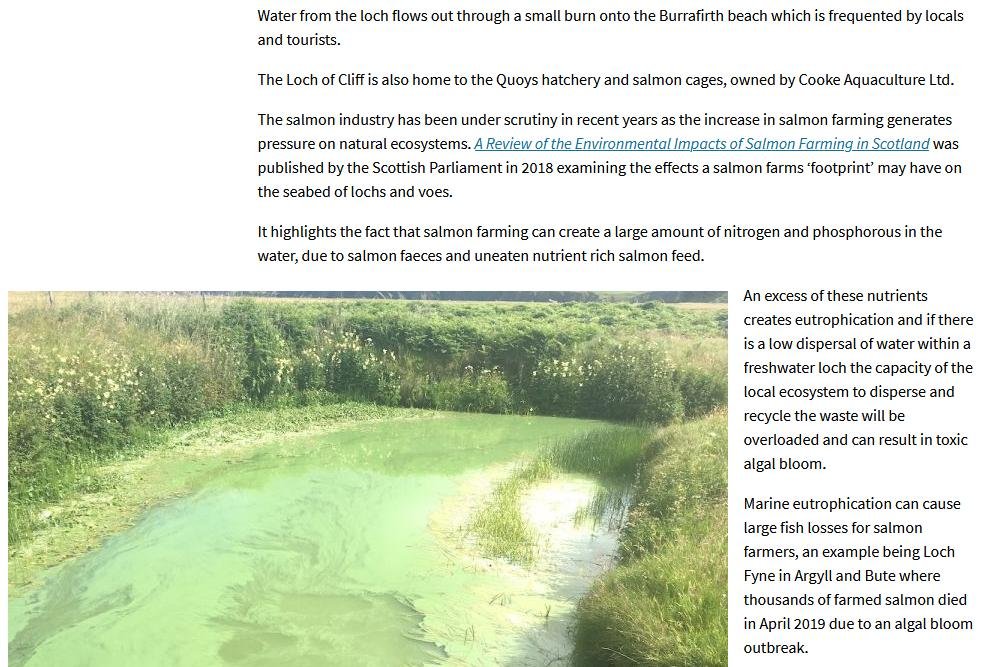 HAB blog June 2021 #38 HAB blog June 2021 #38