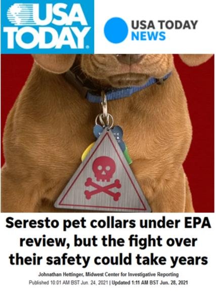 Pet deaths blog June 2021 #14