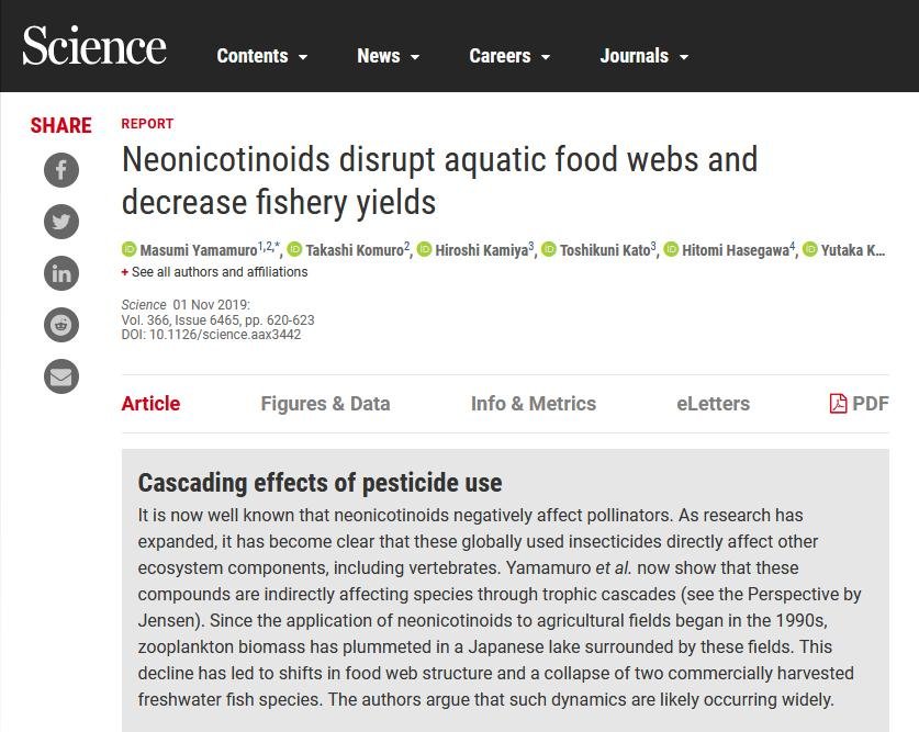 Pet deaths blog June 2021 #21