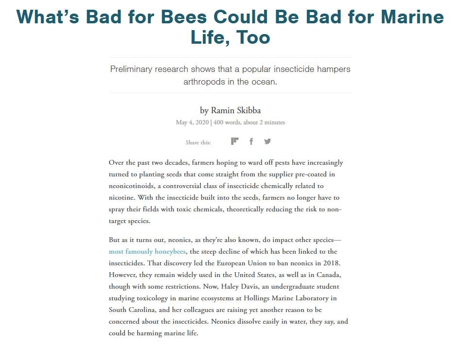 Pet deaths blog June 2021 #23