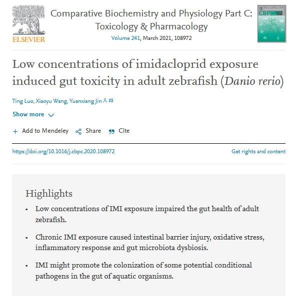 Pet deaths blog June 2021 #25