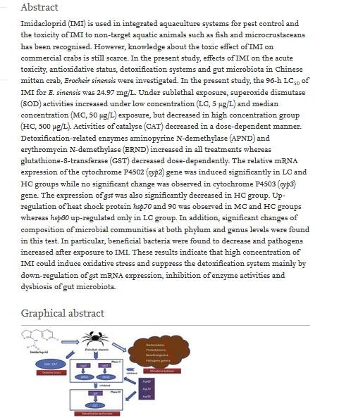 Pet deaths blog June 2021 #28