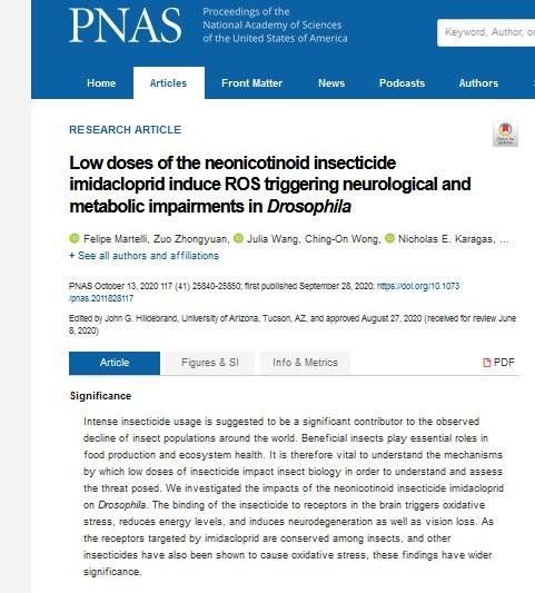 Pet deaths blog June 2021 #29