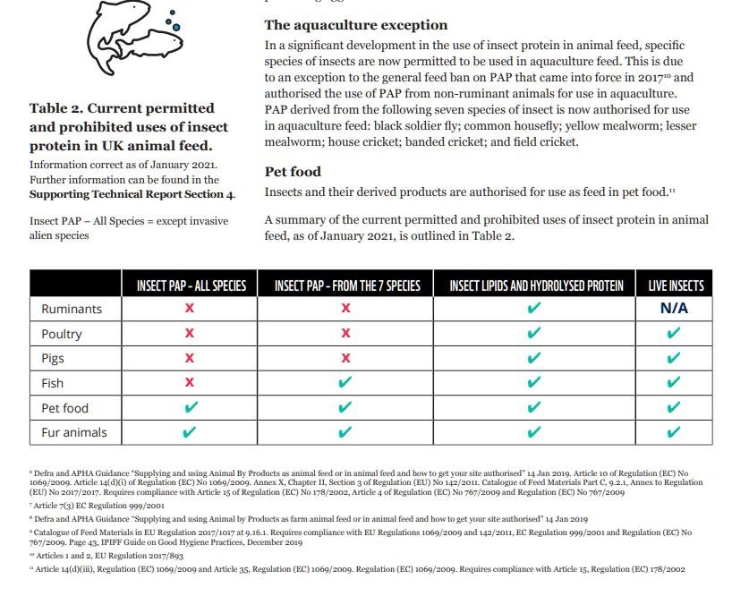 WWF insect report July 2021 #4