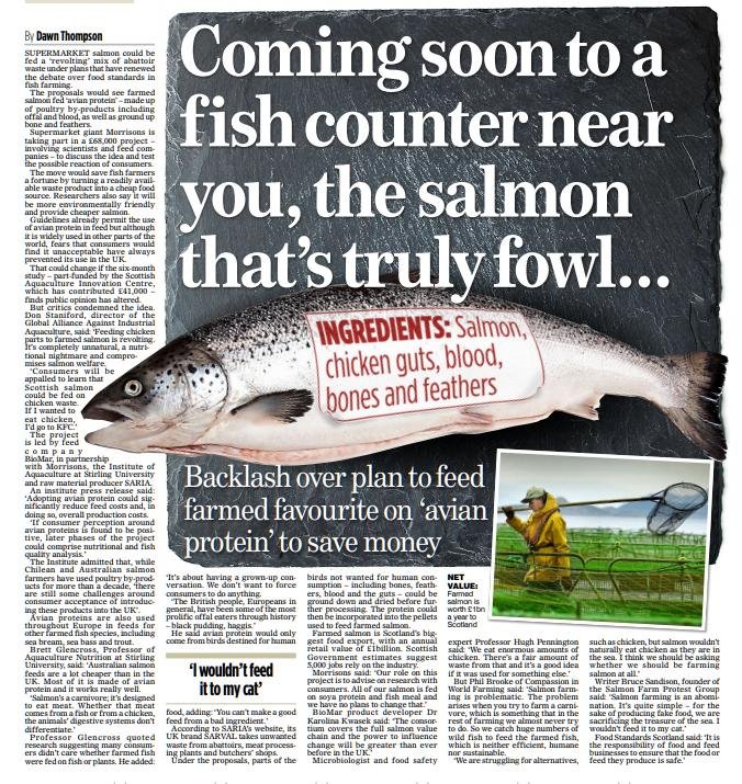 Mail On Sunday Oct 2016 in full