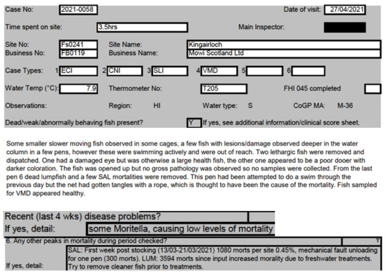 Salmondemic blog July 2021 #10 Mowi Kingairloch Salmondemic blog July 2021 #10 Mowi Kingairloch