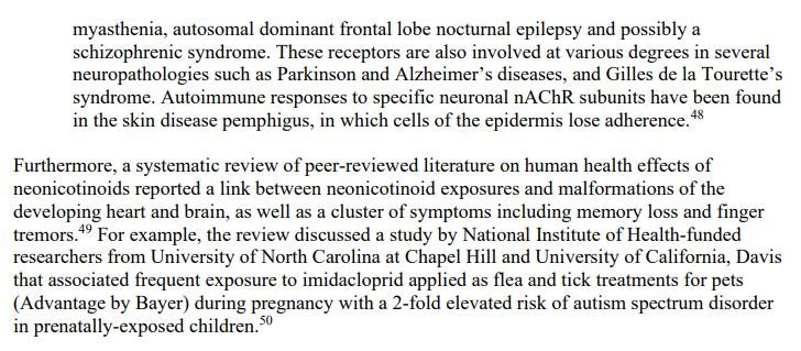 Pet death blog July 2021 #12