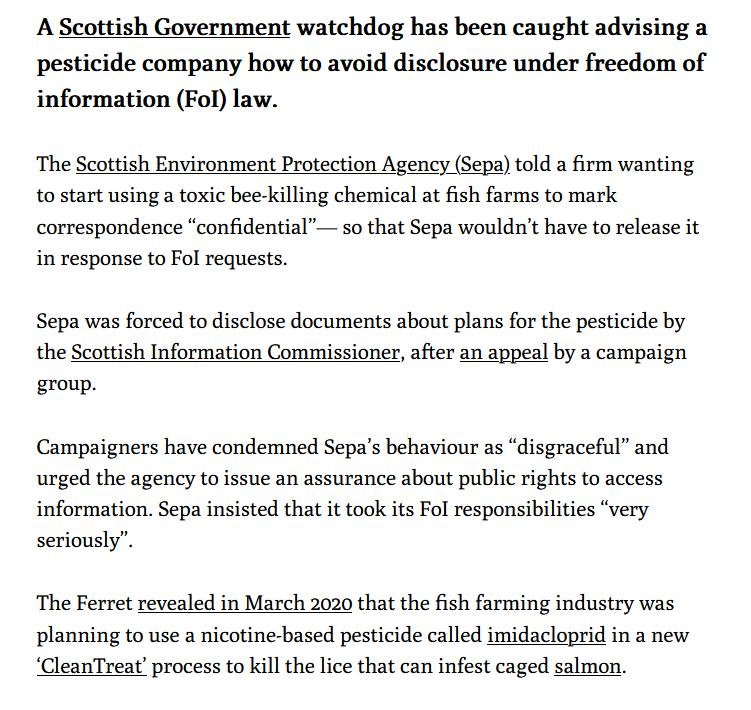 Ferret 19 July 2021 #2 Ferret 19 July 2021 #2