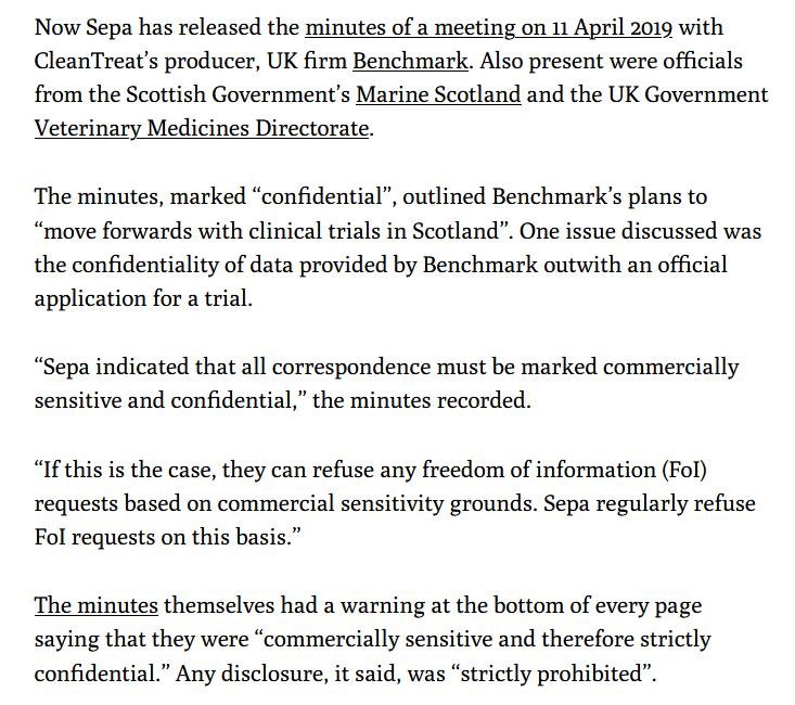Ferret 19 July 2021 #4 Ferret 19 July 2021 #4