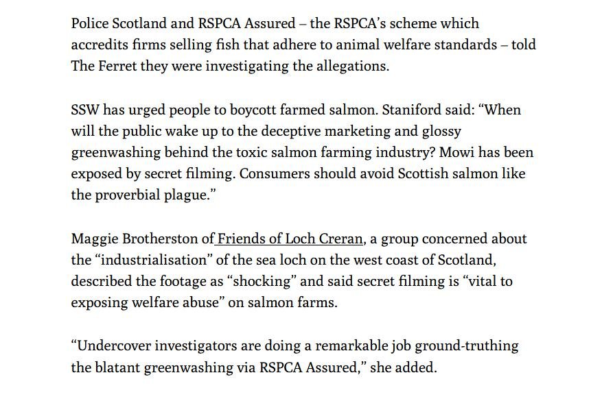 Ferret 25 July 2021 #3