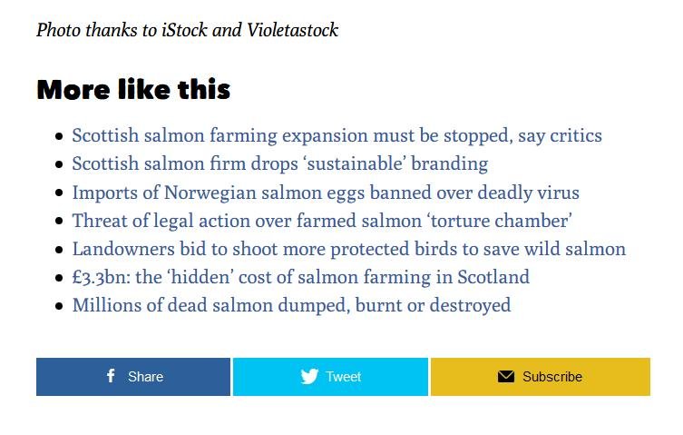 Ferret 25 July 2021 #7