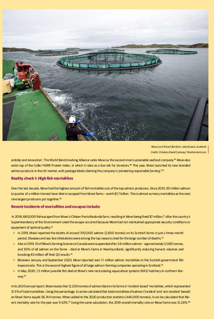 Investors warning report July 2021 Mowi case study #2 Investors warning report July 2021 Mowi case study #2