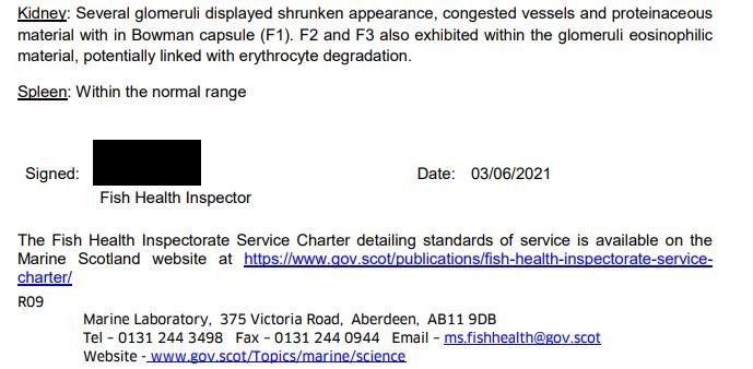 FHI May 2021 Spelve #17 FHI May 2021 Spelve #17