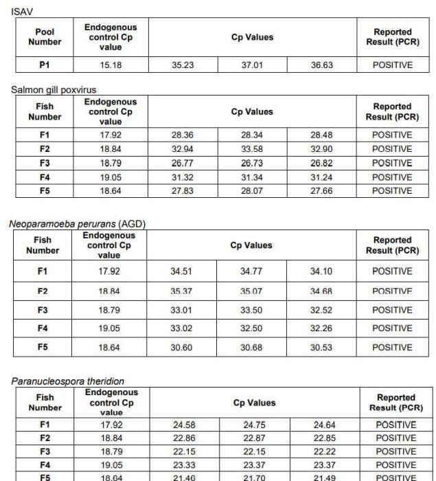 PR ISA in Loch Spelve 30 August 2021 #9