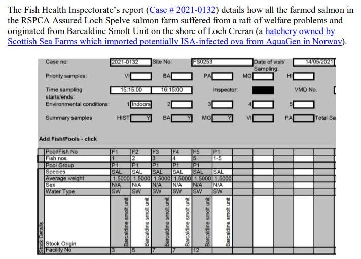 PR ISA in Loch Spelve 30 August 2021 #11