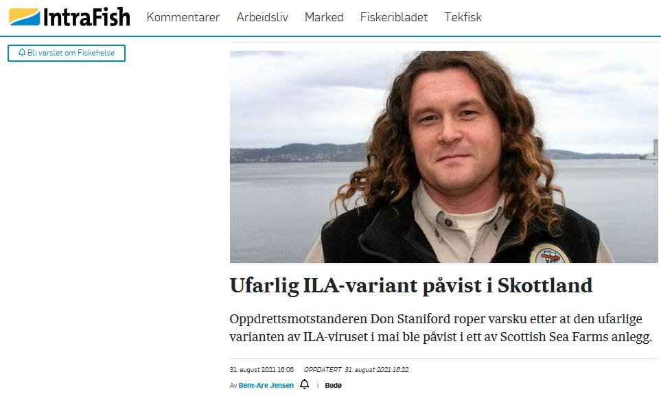 Intrafish 31 Aug ISA story in Norwegian #2
