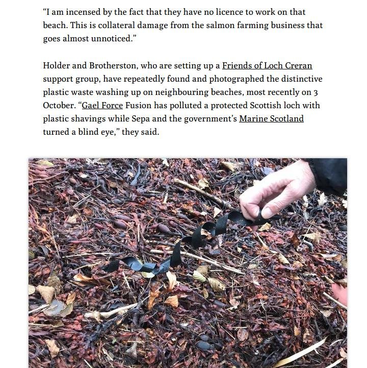 MCS beach clean #12 MCS beach clean #12