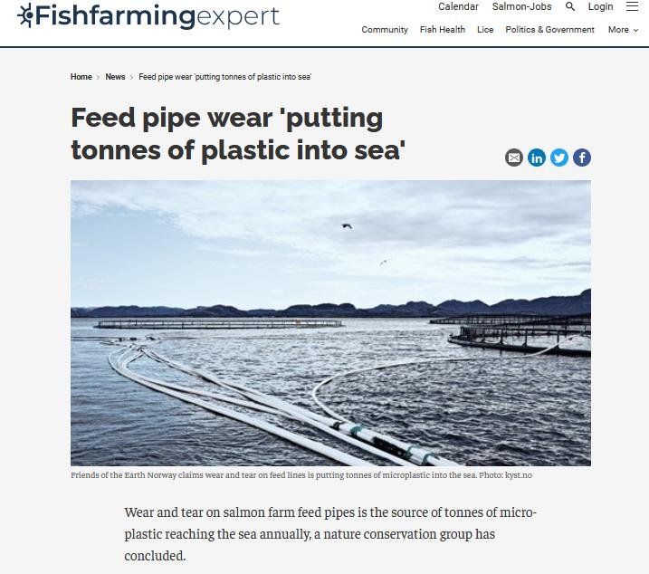 MCS beach clean #15 MCS beach clean #15