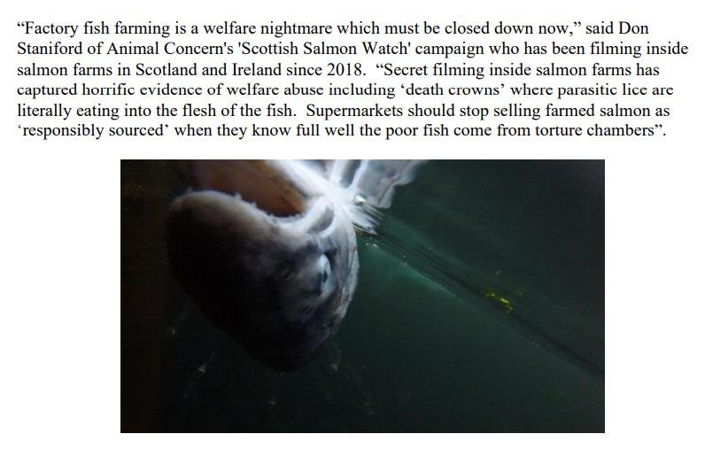 PR NASF & Animal Concern 18 September 2021 #8